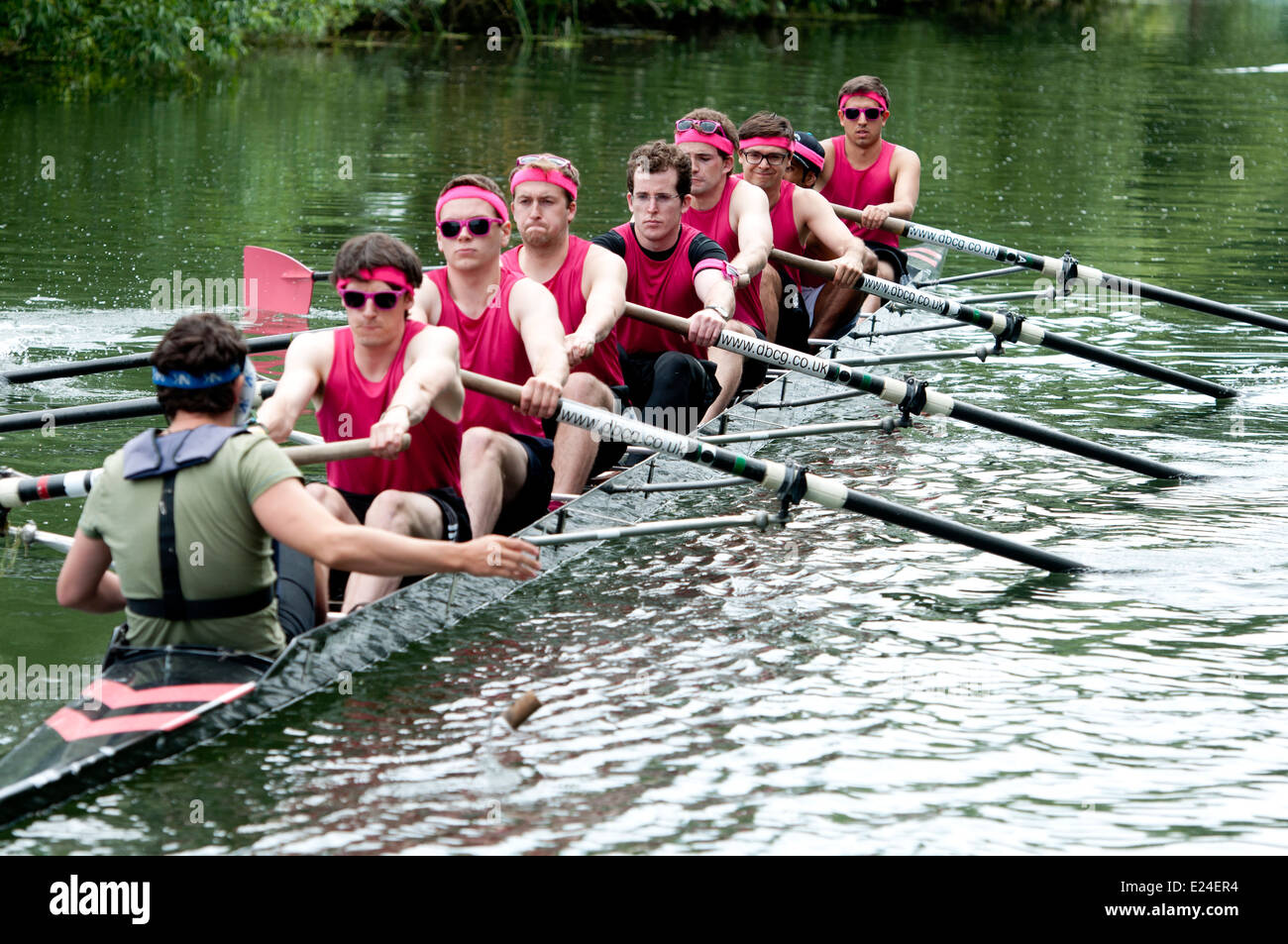 Cambridge rowing race bumps mens hires stock photography and images